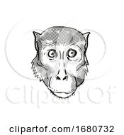 Rhesus Macaque Monkey Cartoon Retro Drawing