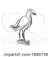 Pukeko New Zealand Bird Cartoon Retro Drawing