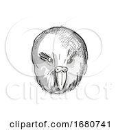 Kakapo New Zealand Bird Cartoon Retro Drawing by patrimonio