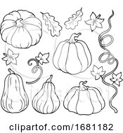 Poster, Art Print Of Pumpkins And Vine