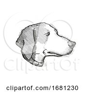 Poster, Art Print Of Harrier Dog Breed Cartoon Retro Drawing