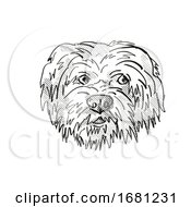 Poster, Art Print Of Havanese Dog Breed Cartoon Retro Drawing