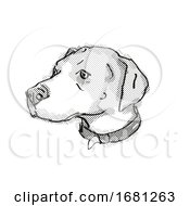 English Foxhound Dog Breed Cartoon Retro Drawing