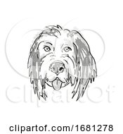 Poster, Art Print Of Bernedoodle Or Bernese Mountain Poo Dog Breed Cartoon Retro Drawing