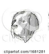 Poster, Art Print Of Saint Bernard Dog Breed Cartoon Retro Drawing