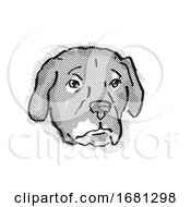 Poster, Art Print Of Afador Or Afghan Lab Dog Breed Cartoon Retro Drawing