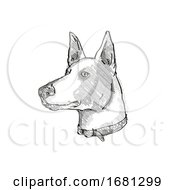 Poster, Art Print Of Ibizan Hound Dog Breed Cartoon Retro Drawing