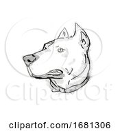 Dogo Argentino Or Argentinian Mastiff Dog Breed Cartoon Retro Drawing