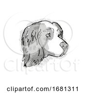 Poster, Art Print Of Clumber Spaniel Dog Breed Cartoon Retro Drawing