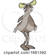 Cartoon Shy Moose