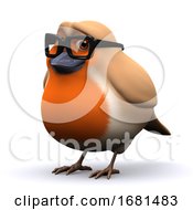 3d Academic Robin Red Breast