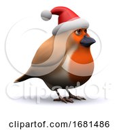 3d Robin Wears A Santa Claus Hat