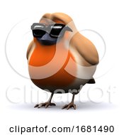 3d Cool Robin In Sunglasses