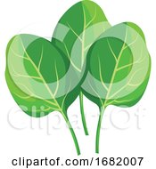 Poster, Art Print Of Green Spinach Leafs