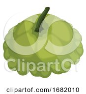 Light Green Scallopini With Dark Green Petiol