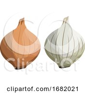 Poster, Art Print Of Brown And White Onion