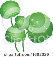 Poster, Art Print Of Green Water Cress Leafs
