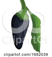 Poster, Art Print Of Dark Blue Chilli Pepper With Green Leaf