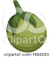 Poster, Art Print Of Green Eggplant