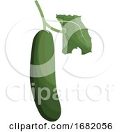 Poster, Art Print Of Green Cucumber With Green Leaf