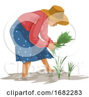 Poster, Art Print Of Woman Working In Farm