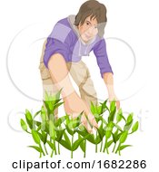 Man Plucking Vegetables