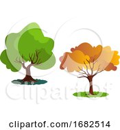 Two Autumn Tree Illustration