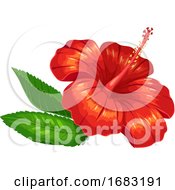 Poster, Art Print Of Hibiscus Flower