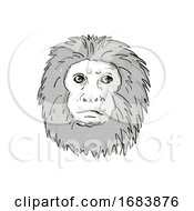 Golden Lion Tamarin Or Leontopithecus Rosalia Endangered Wildlife Cartoon Retro Drawing