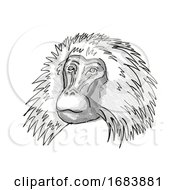 Shaggy Male Gelada Monkey Cartoon Retro Drawing
