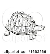 Poster, Art Print Of Radiated Tortoise Endangered Wildlife Cartoon Mono Line Drawing
