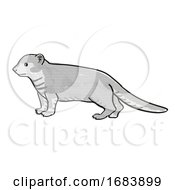 Poster, Art Print Of Mongoose Or Helogale Parvula Endangered Wildlife Cartoon Mono Line Drawing