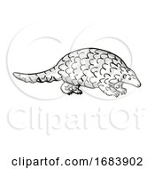 Poster, Art Print Of Ground Pangolin Or Smutsia Temminckii Endangered Wildlife Cartoon Mono Line Drawing