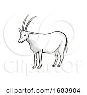 Poster, Art Print Of Scimitar Oryx Or Scimitar-Horned Oryx Endangered Wildlife Cartoon Mono Line Drawing