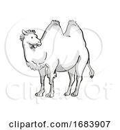 Poster, Art Print Of Bactrian Camel Or Camelus Bactrianus Endangered Wildlife Cartoon Mono Line Drawing