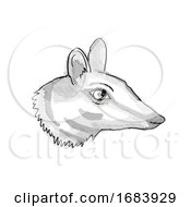 Poster, Art Print Of Numbat Endangered Wildlife Cartoon Retro Drawing