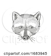 Poster, Art Print Of Pigmy Raccoon Endangered Wildlife Cartoon Retro Drawing