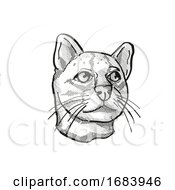 Poster, Art Print Of Oncilla Or Northern Tiger Cat Endangered Wildlife Cartoon Retro