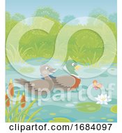 Mallard Ducks On A Pond