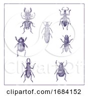 Poster, Art Print Of Beetles Vintage Collection Duotone On White Background