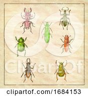 Poster, Art Print Of Beetles Vintage Collection On Antique Paper