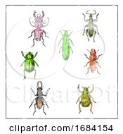 Poster, Art Print Of Beetles Vintage Collection On White Background