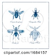 Poster, Art Print Of Carpenter Bee Beetle Oscinella Frit And Praying Mantis Vintage Collection