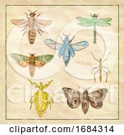Poster, Art Print Of Vintage Moth Dragonfly Mantis And Stick Insect Collection On Antique Paper