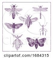 Poster, Art Print Of Vintage Moth Dragonfly Mantis And Stick Insect Collection Duotone On White Background