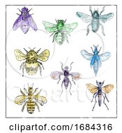 Poster, Art Print Of Vintage Bees And Flies Collection On White Background