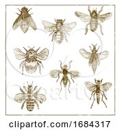 Poster, Art Print Of Vintage Bees And Flies Collection Duotone On White Background