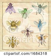Poster, Art Print Of Vintage Bees And Flies Collection On Antique Paper