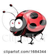 Happy Ladybug by Domenico Condello