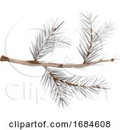 Winter Spruce Branch